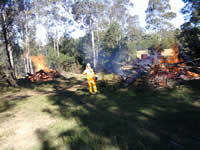 Pile Burns at Frank's 2010